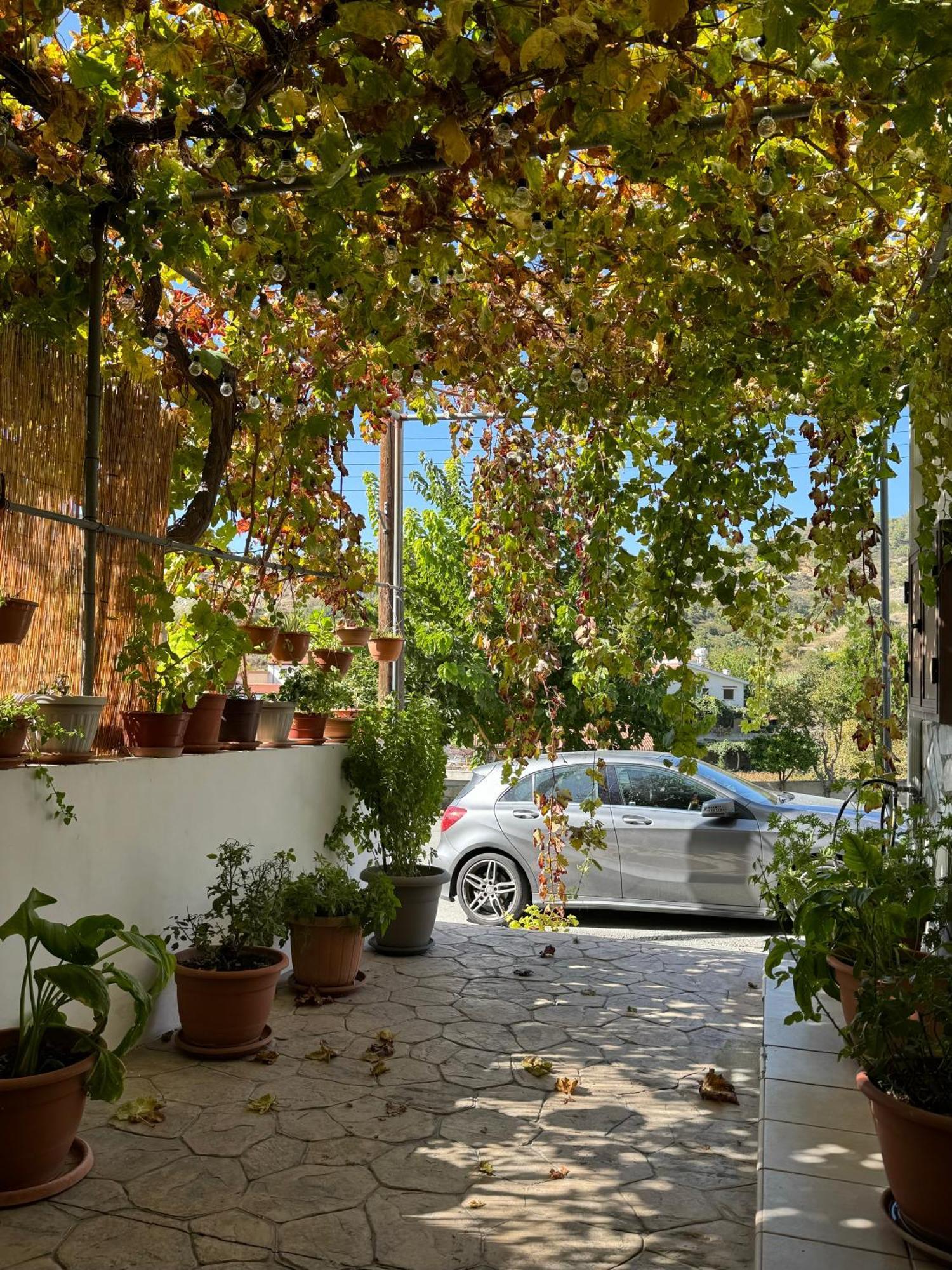 Villa Στου Στεφανή Agros Exterior foto